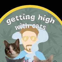 Getting High with Cats