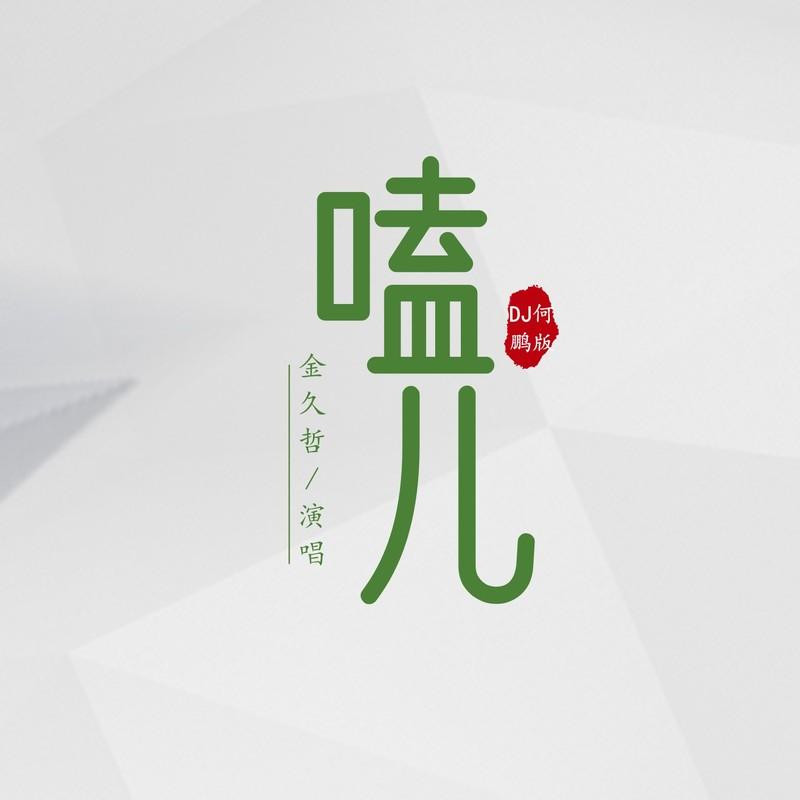 嗑儿 (DJ何鹏版伴奏)