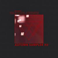 Autumn Sampler 23'