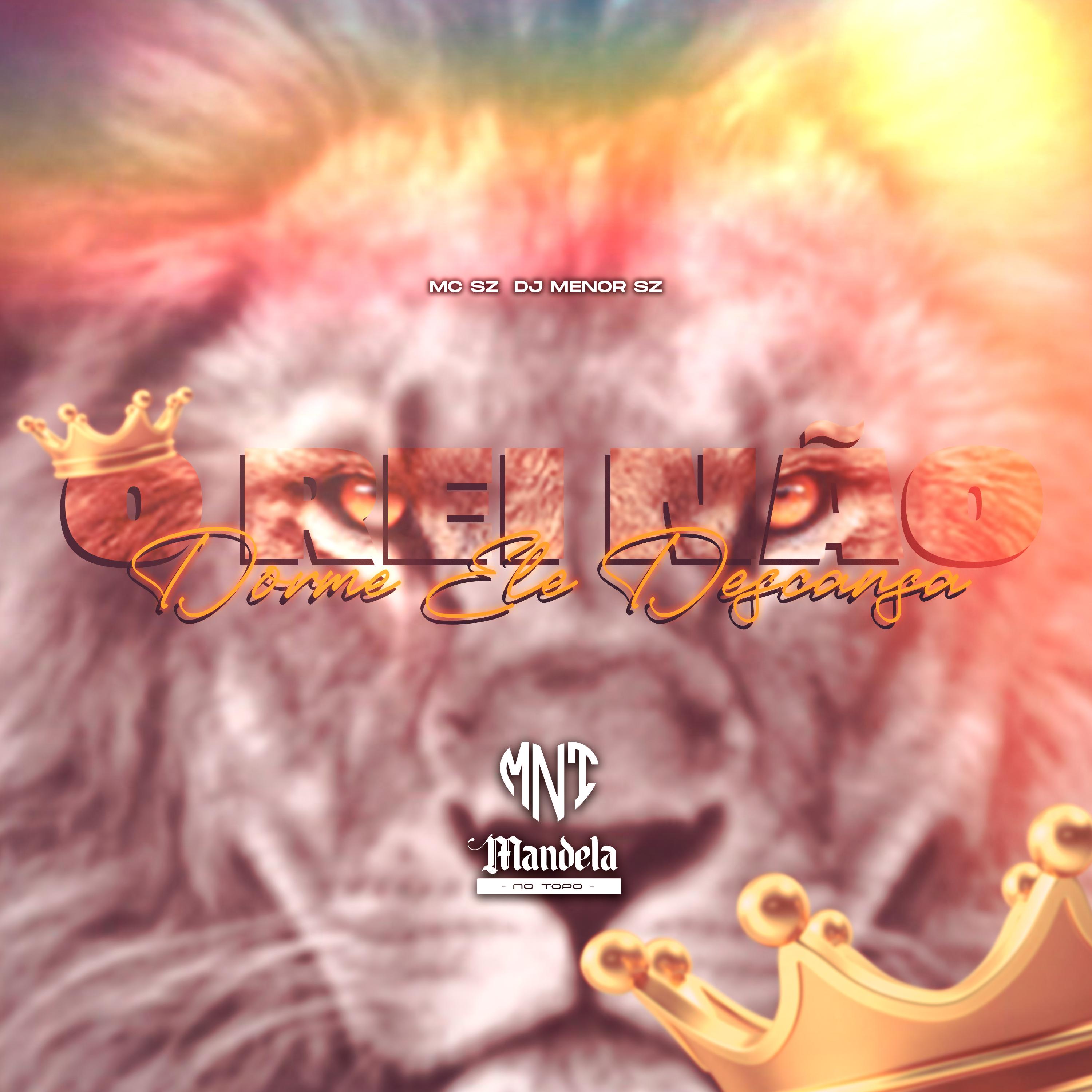 O Rei Não Dorme Ele Descansa