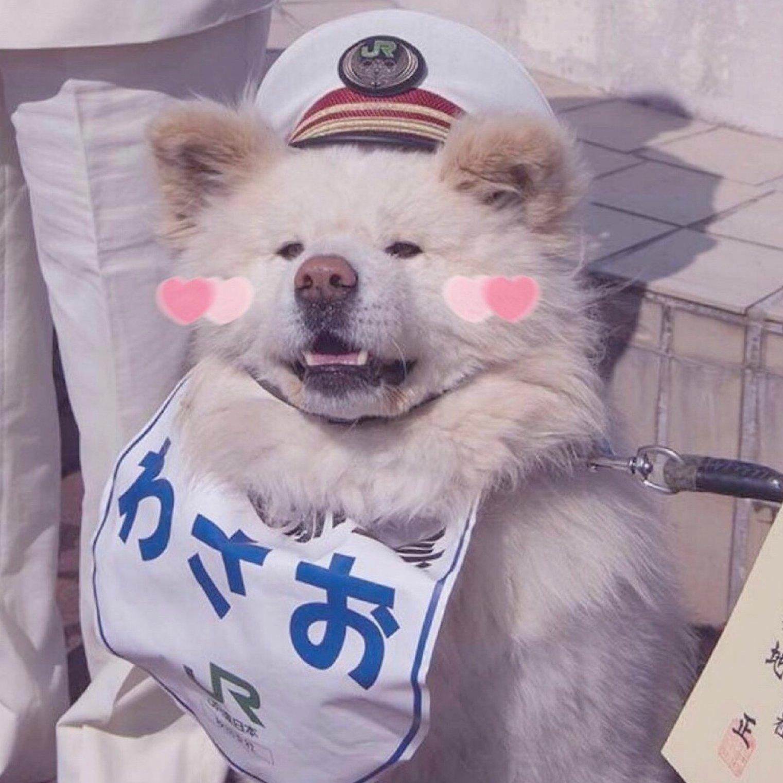 不会开挖掘机好丢脸