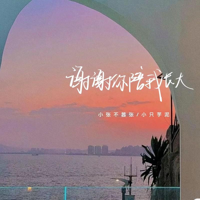 谢谢你陪我长大 (伴奏)封面