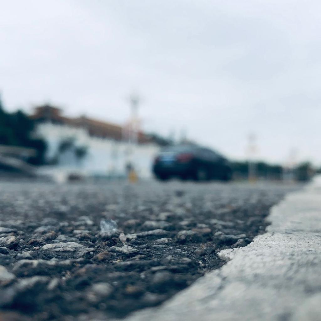 冷焰桃帝的貓貓