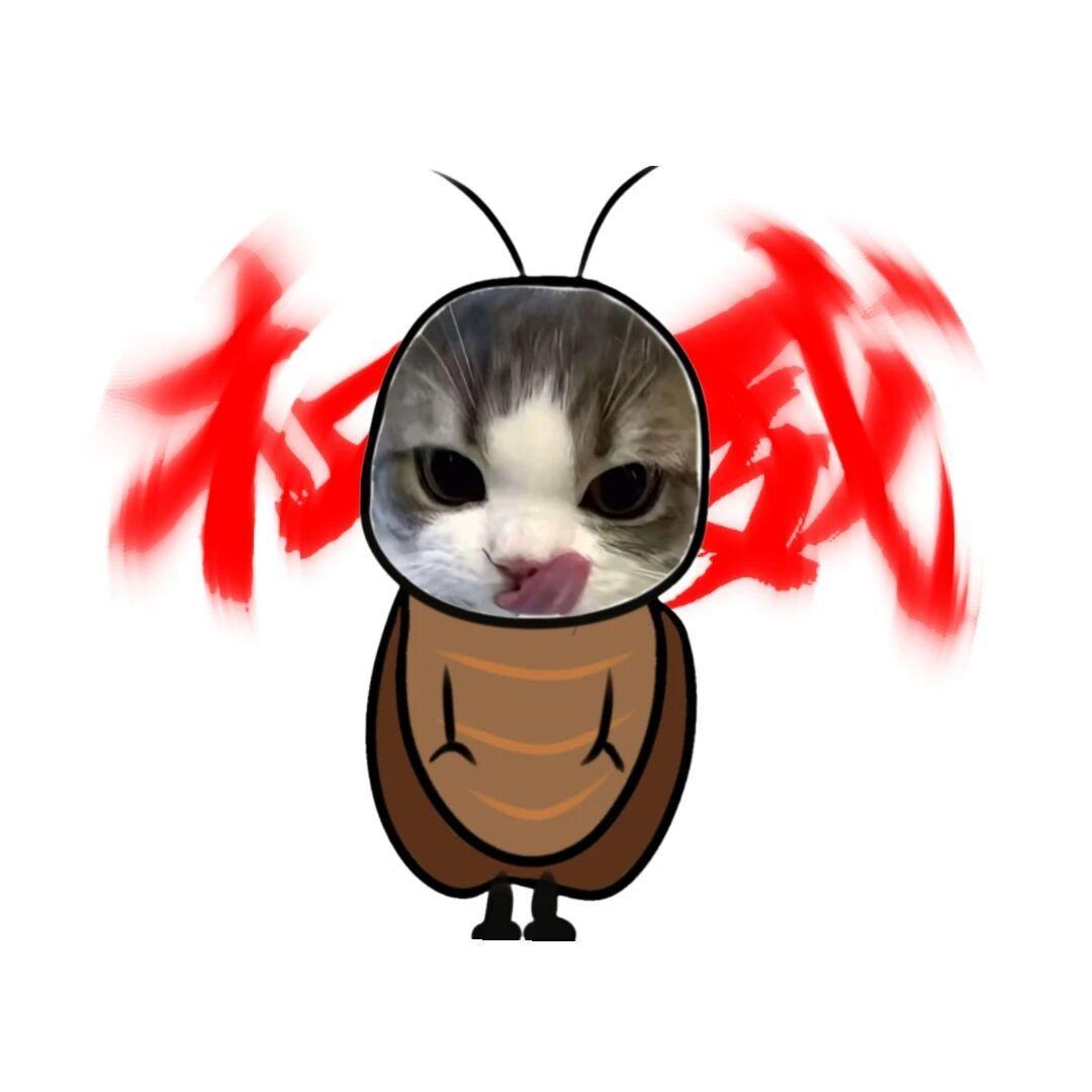 光之国的家是他们的故乡封面