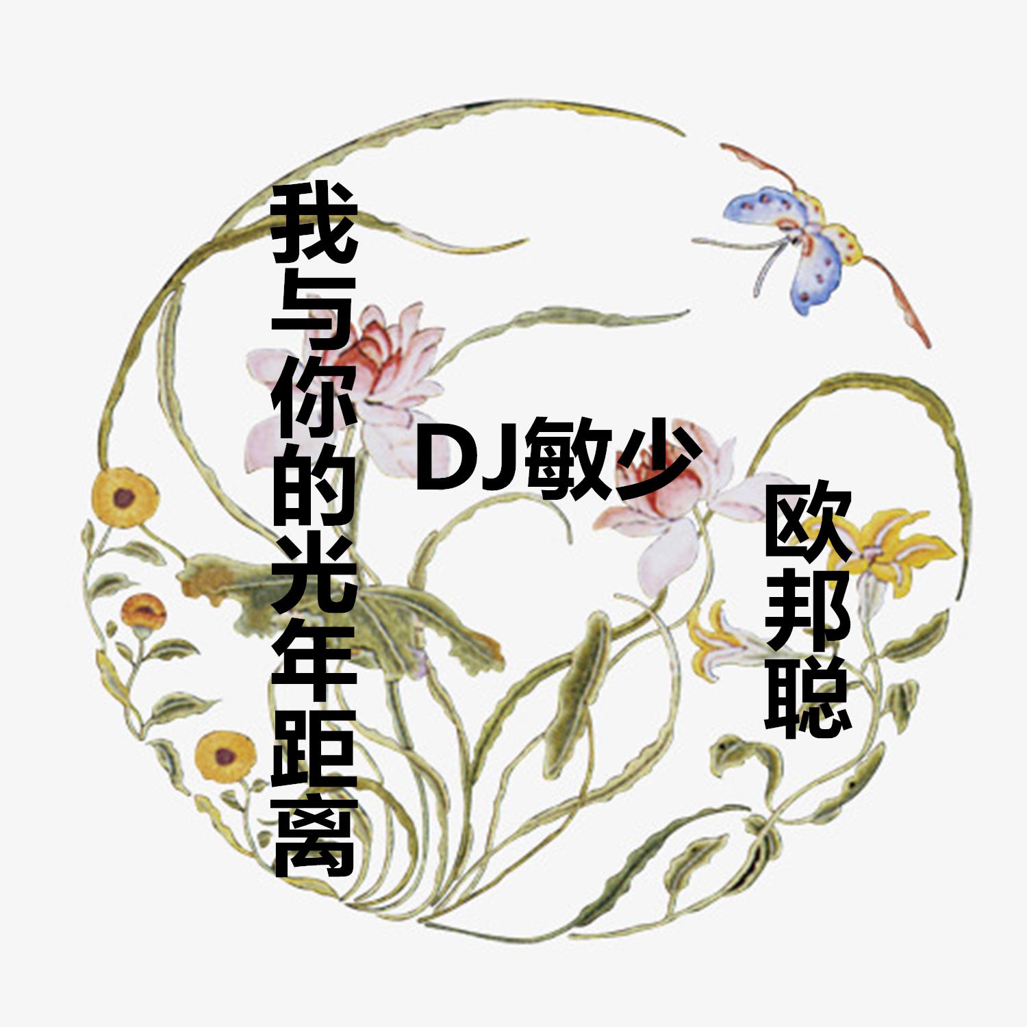 感谢你曾来过（DJ版） - 欧邦聪、鹿子封面