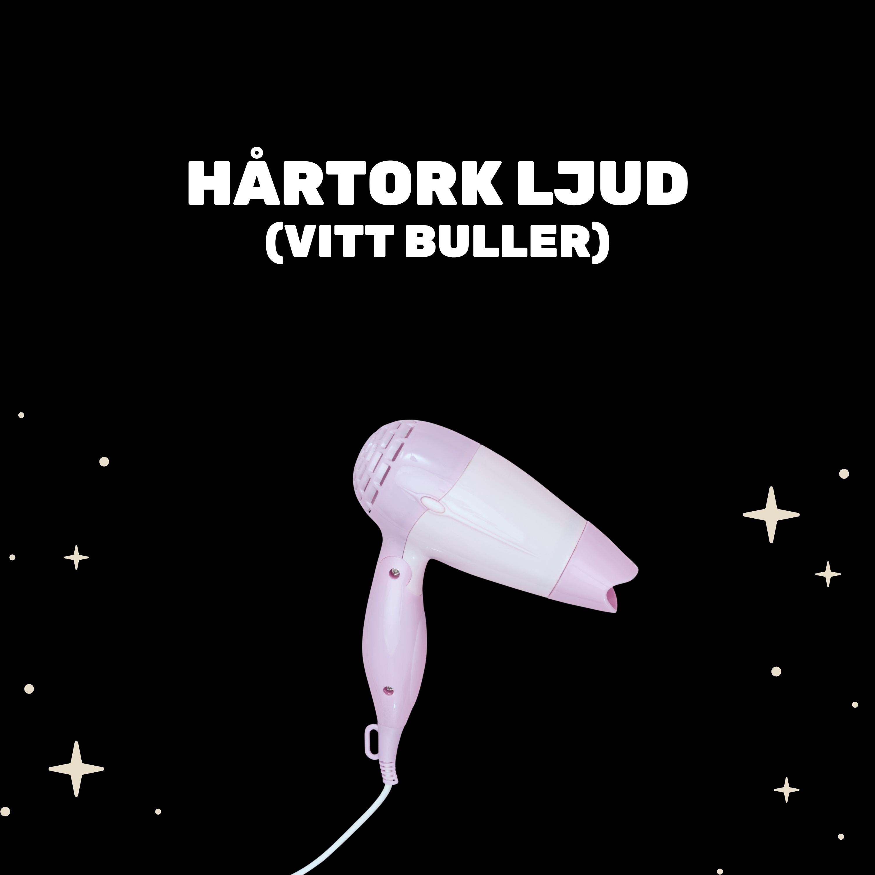 Hårtork Ljud (Vitt Buller)