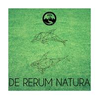 De Rerum Natura, Vol. 2