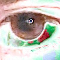 Lukemag资料,Lukemag最新歌曲,LukemagMV视频,Lukemag音乐专辑,Lukemag好听的歌