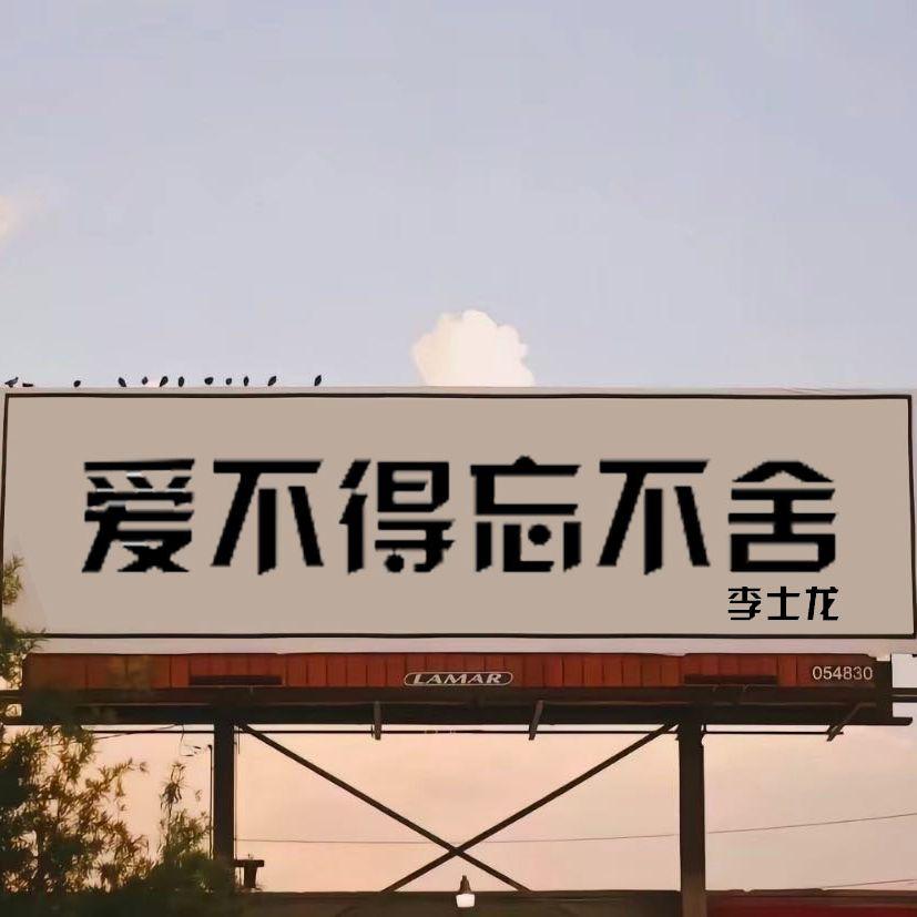 爱不得忘不舍 - 李士龙封面
