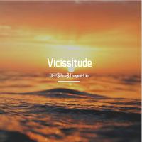 Vicissitude◢◤