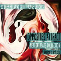 Opposites Attract - Mellow Beats Collection