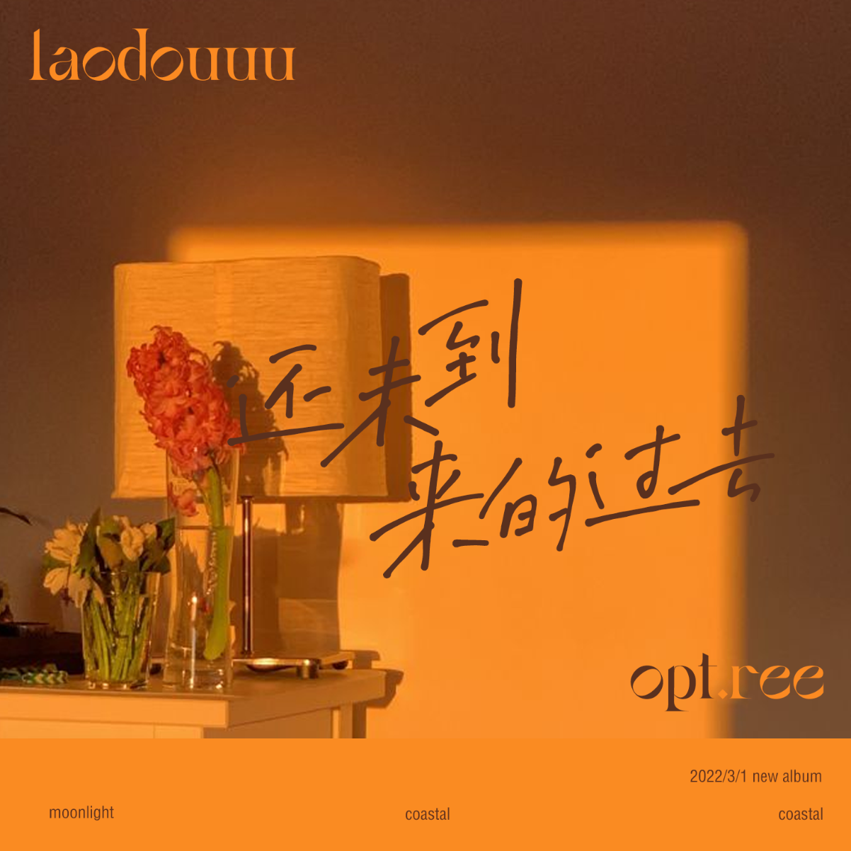 还未到来的过去