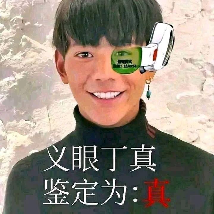 理塘丁真B站一五大金曲