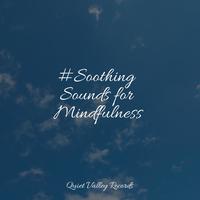 #Soothing Sounds for Mindfulness