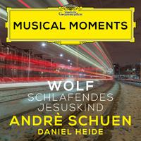 Wolf: Mörike-Lieder: No. 25, Schlafendes Jesuskind (Musical Moments)