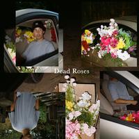 Dead Roses