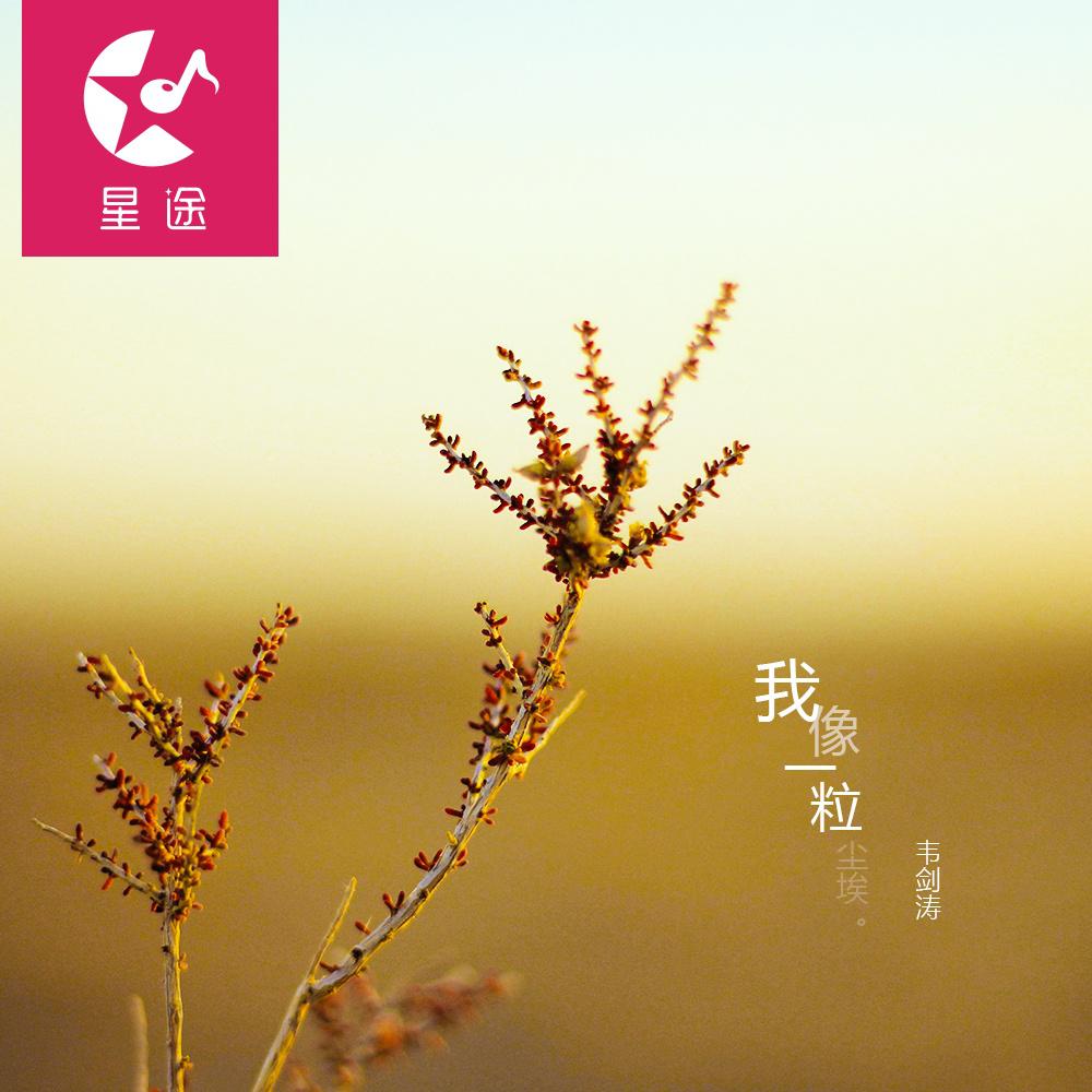 我像一粒尘埃