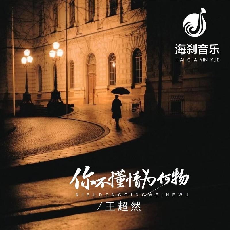 你不懂情为何物 (LiVe合唱版)封面