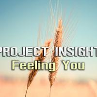 Project Insight