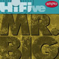 Rhino Hi-Five: Mr. Big (LP Version)