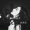 面对疾风吧 (DJ版) - 成总封面