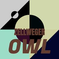 Zellweger Owl