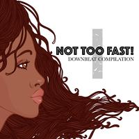 Not Too Fast! 1: Downbeat Compilation