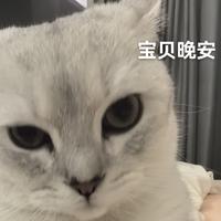 飞飞飞飞资料,飞飞飞飞最新歌曲,飞飞飞飞MV视频,飞飞飞飞音乐专辑,飞飞飞飞好听的歌