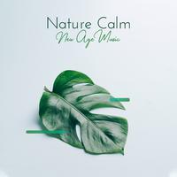 Nature Calm New Age Music: Compilation of Songs for Total Relax, Ambient Music Perfect to Wake Up with Positive Attitude, Gentle Nature Sounds