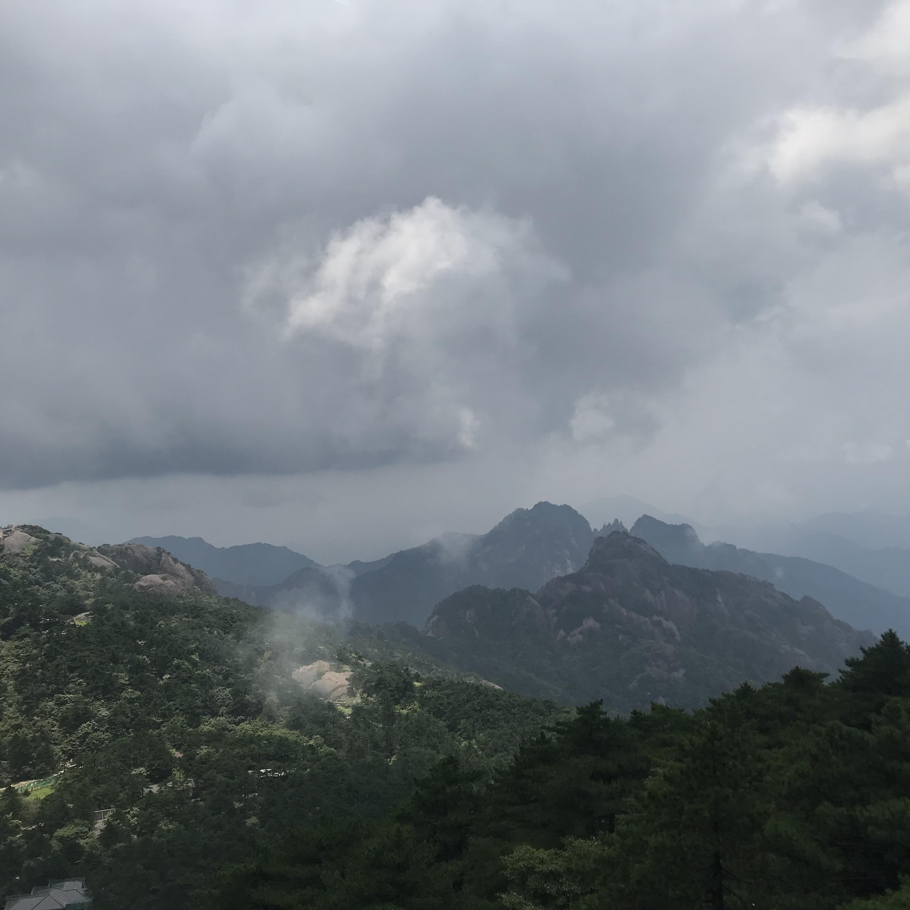 化身孤岛的鲸封面