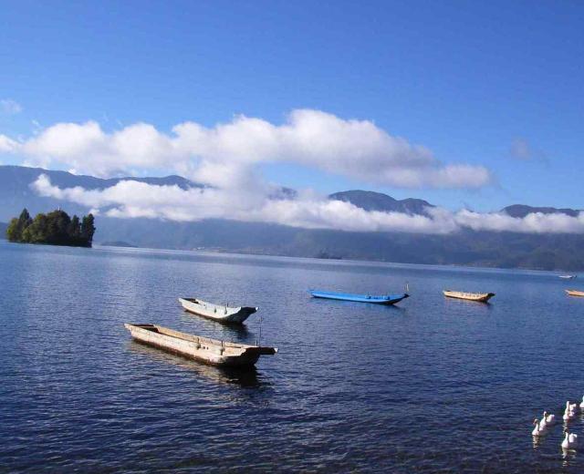 Bandari