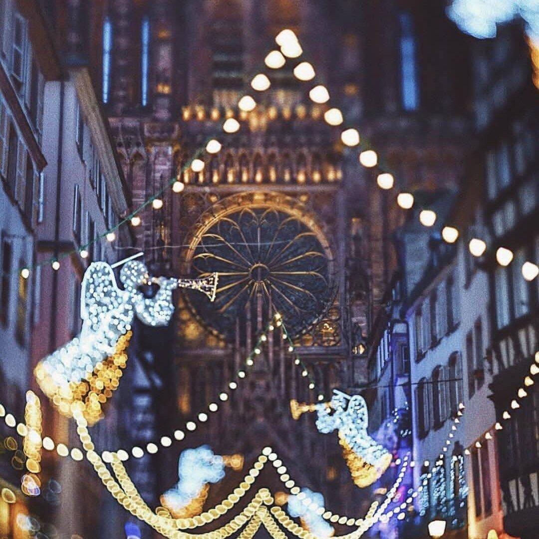 Edelweiss 雪绒花之声