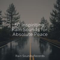 50 Inspiriting Rain Sounds for Absolute Peace