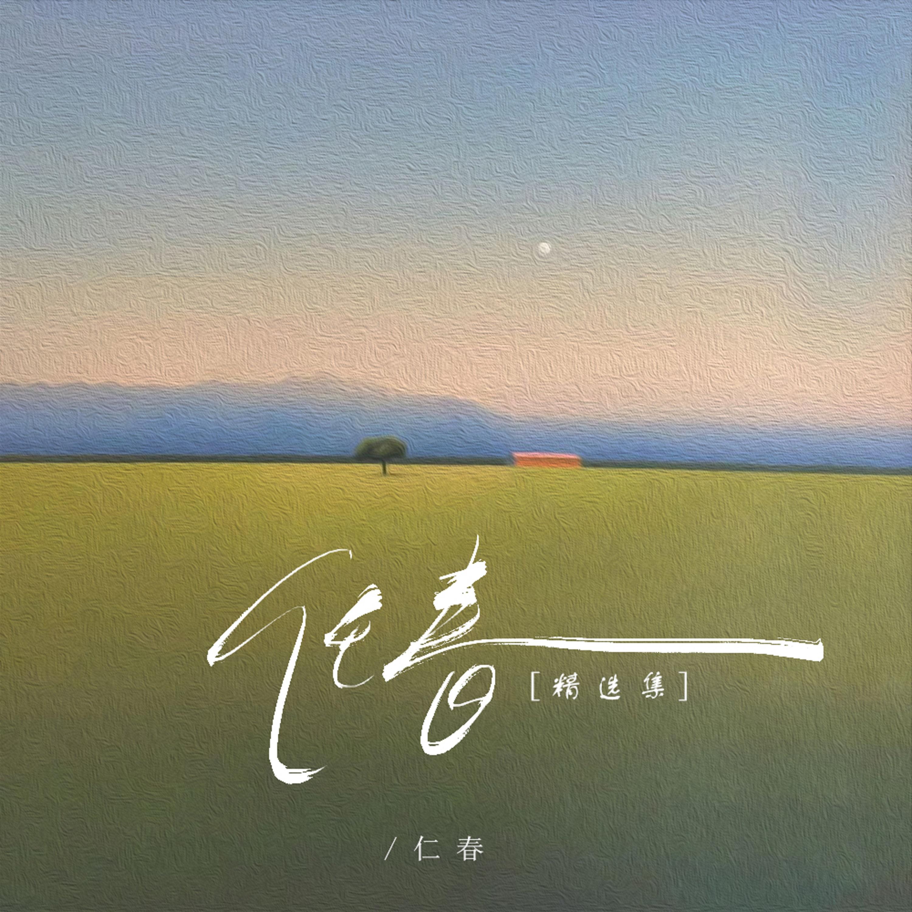 鸿雁于飞 (男生版) - 任春封面