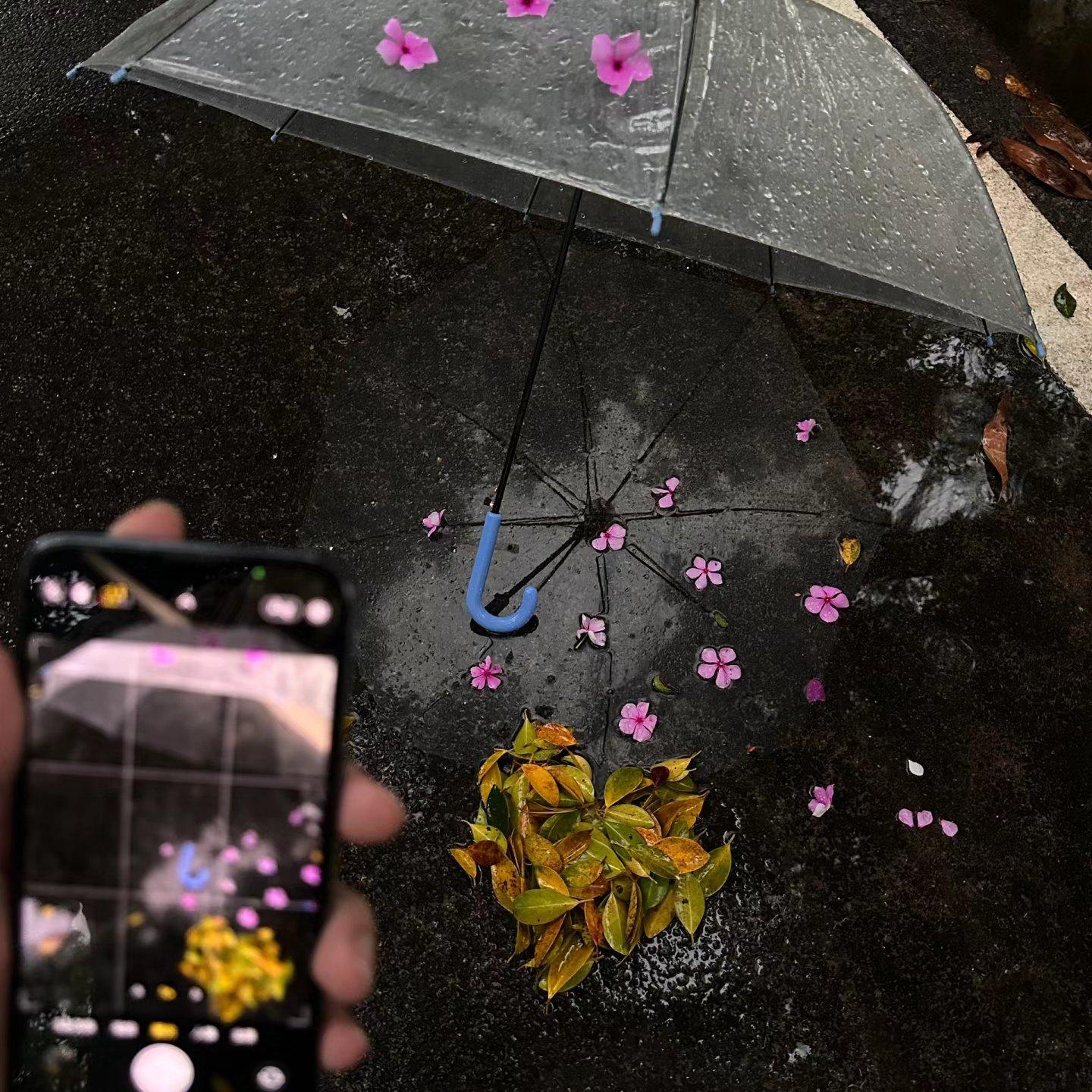 消失的雨天