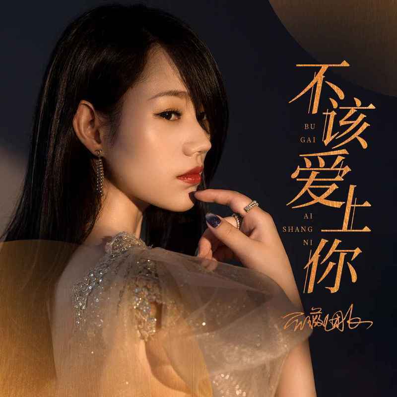 不该爱上你封面