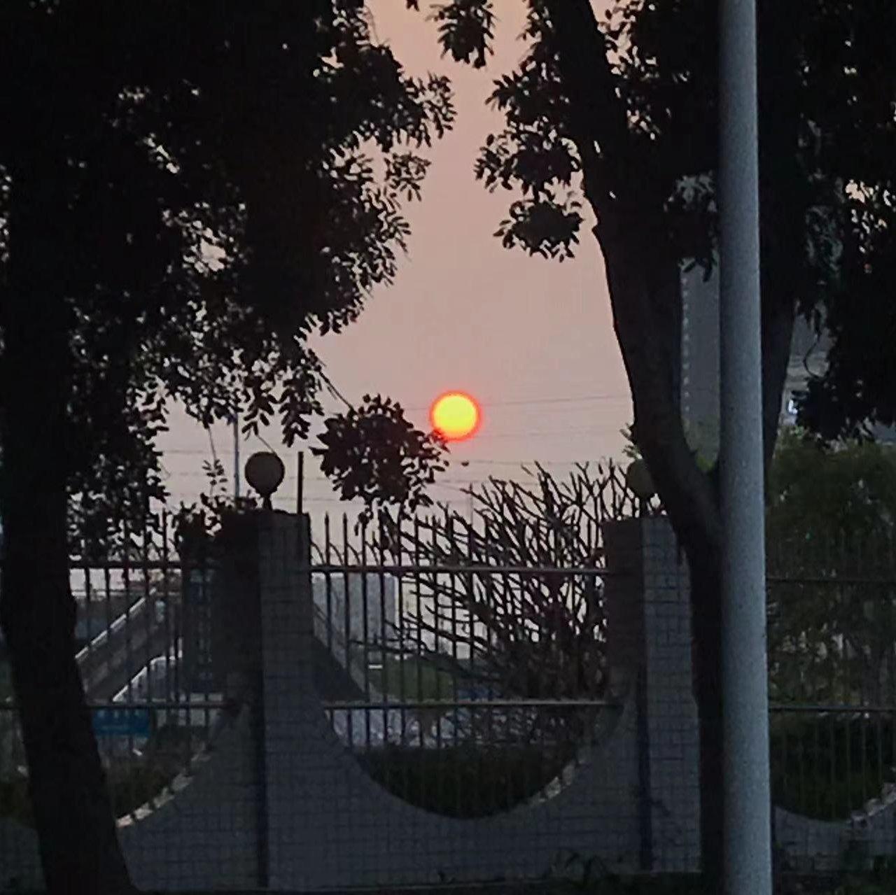 网易云｜最高效刷等级歌单