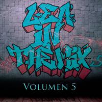 Volumen 5