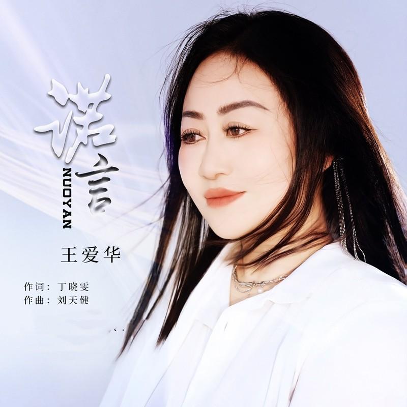 诺言 (DJ默涵版) - 王爱华封面