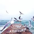前不着村后不店