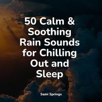 50 Calm & Soothing Rain Sounds for Chilling Out and Sleep