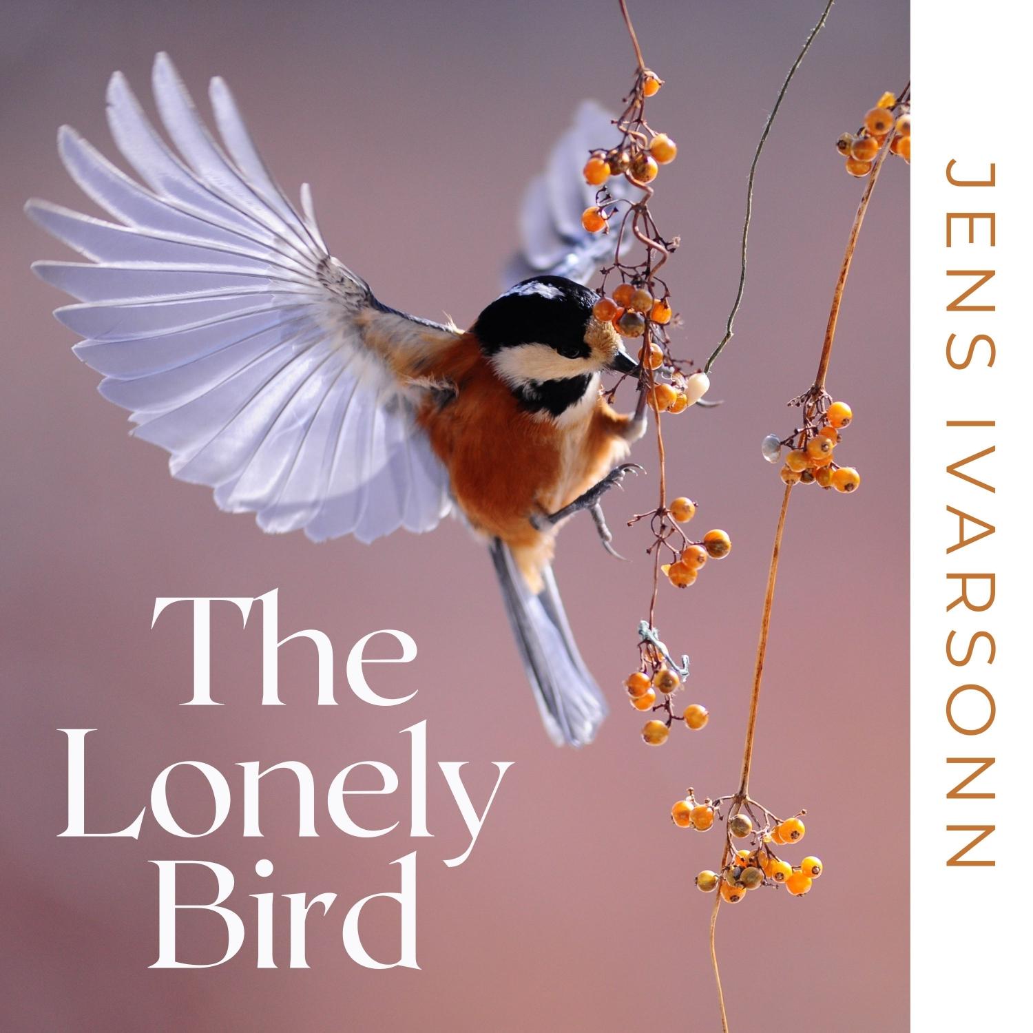 I Can Dream, I Can Fly