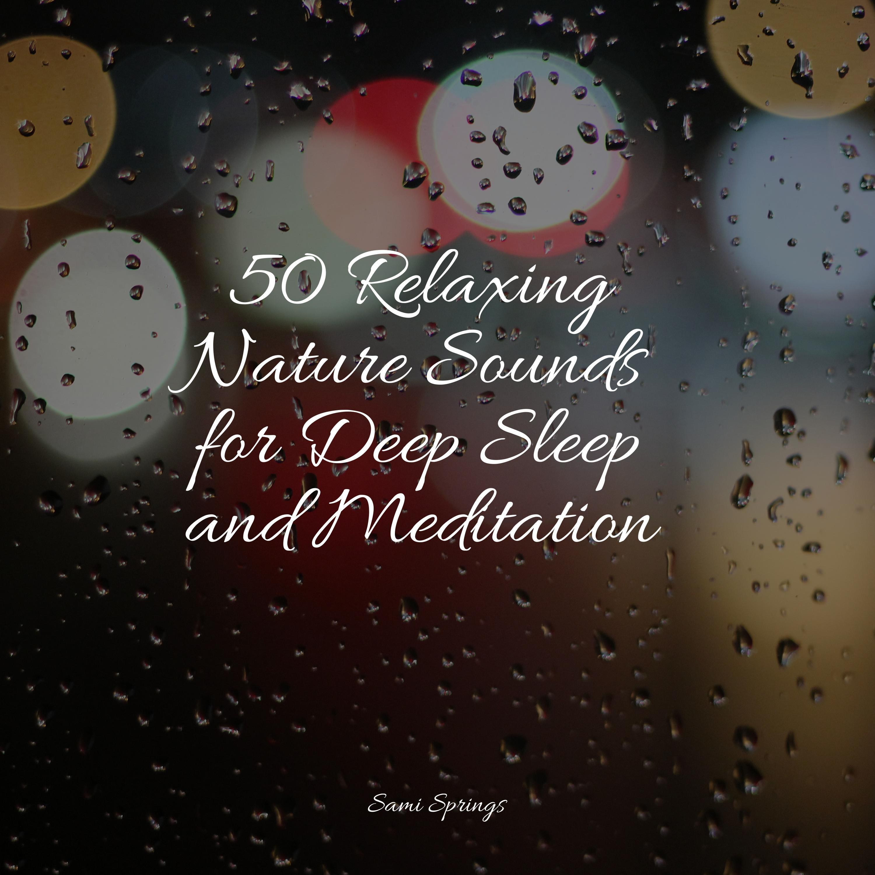 50 Relaxing Nature Sounds for Deep Sleep and Meditation - Ocean Waves ...