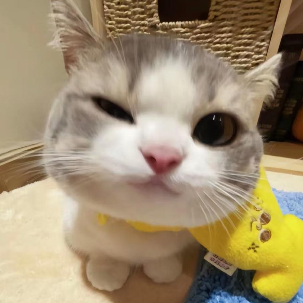 我听稻草人唱歌