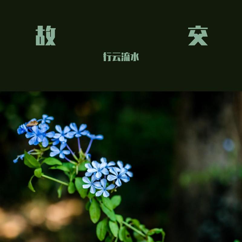 兰亭 - 行云流水封面
