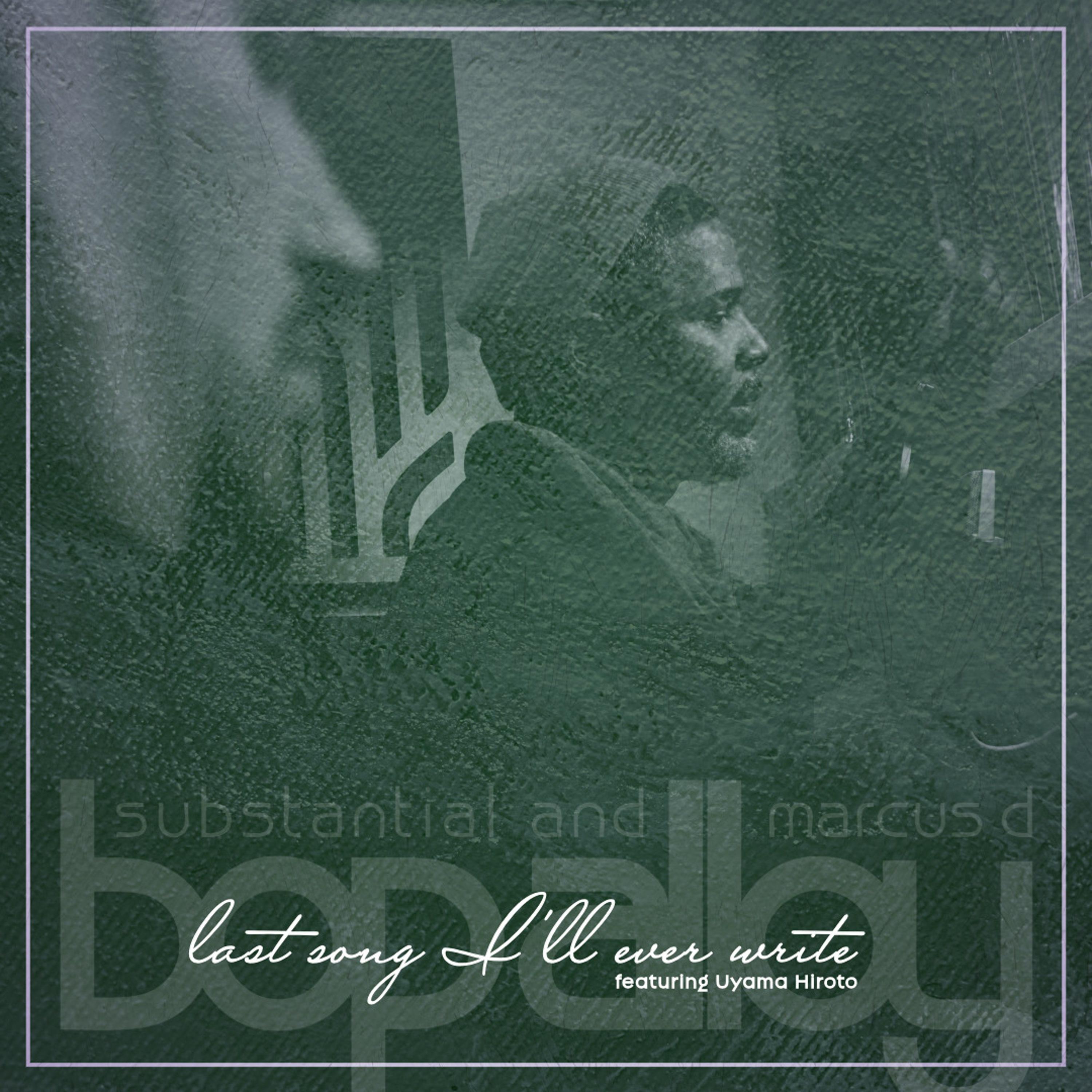 Last Song I'll Ever Write