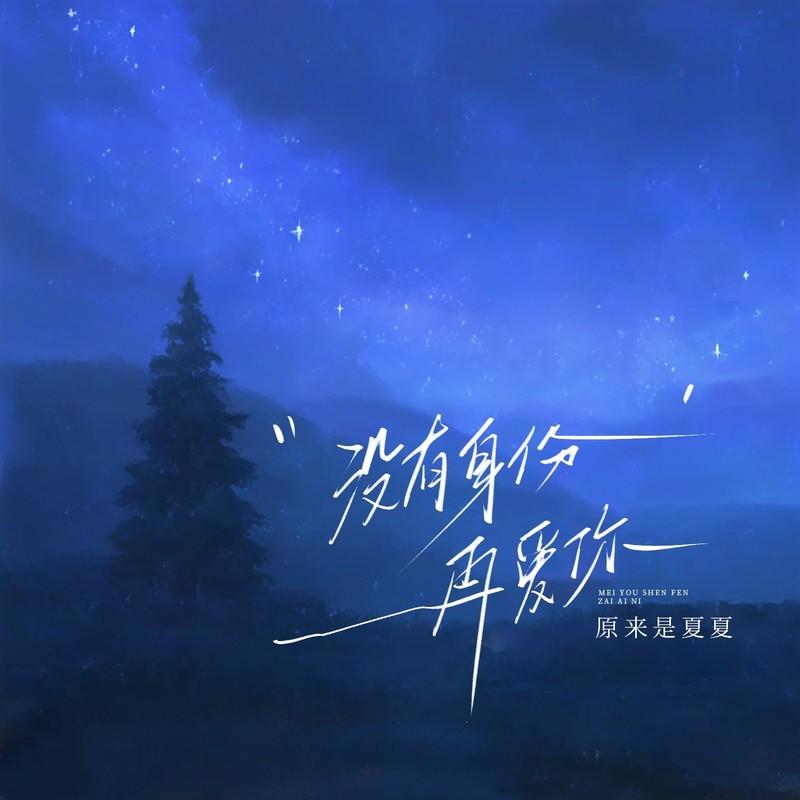 没有身份再爱你封面