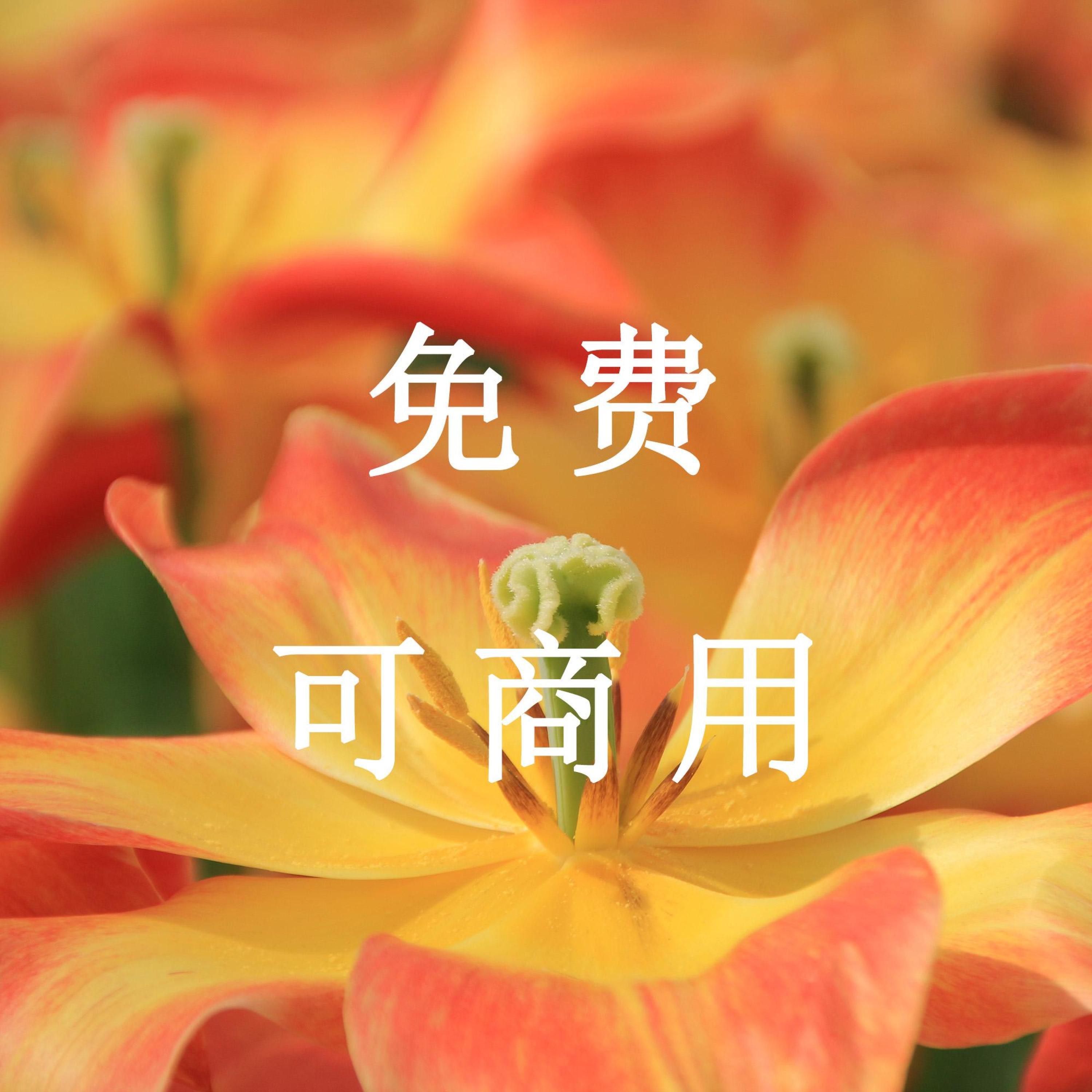 song-img