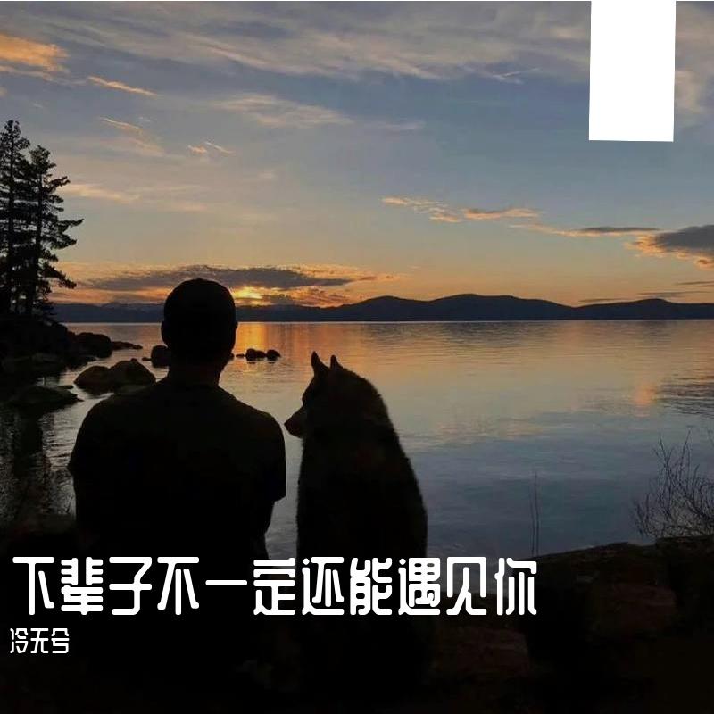 下辈子不一定还能遇见你封面
