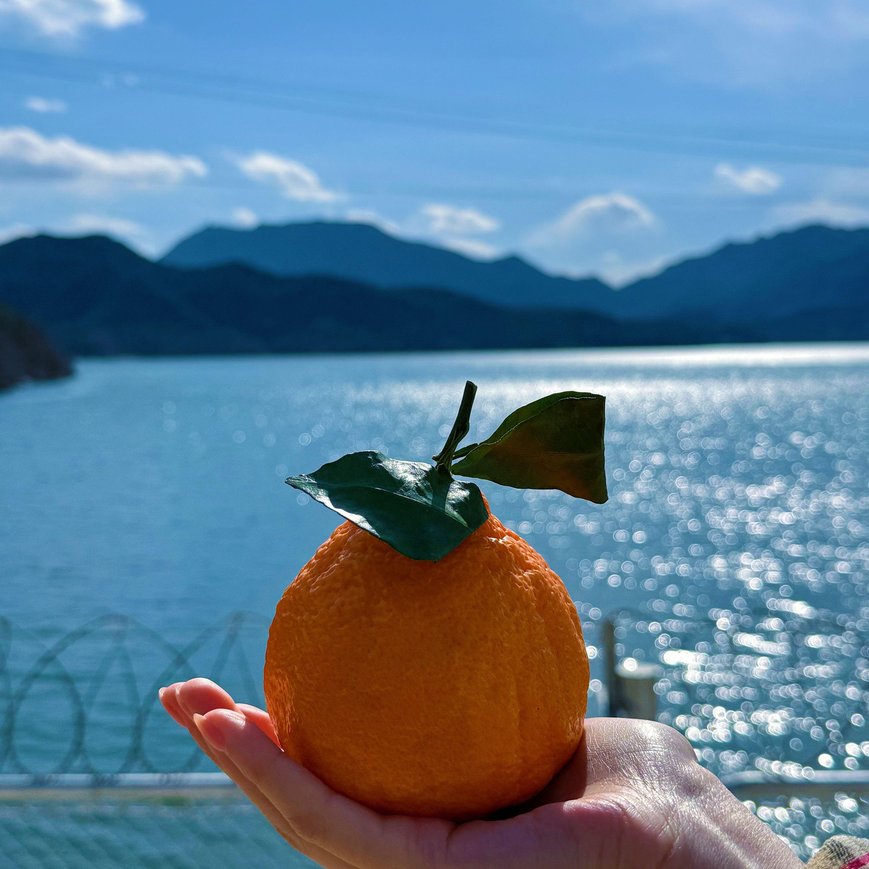 彩色相片封面